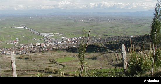 Ardenica